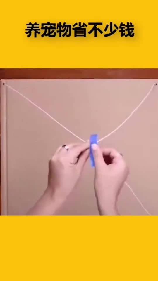 拿衣架給寵物改裝帳篷,學(xué)會了這招之后,養(yǎng)寵物省下不少錢