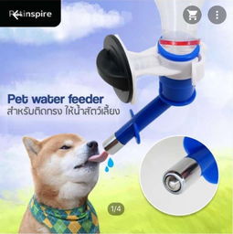 本周五采洽會來襲，泰國寵物衣架訂單引爆商機