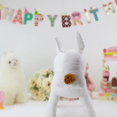 寵物服飾展示新風(fēng)尚 專(zhuān)業(yè)狗模特與陳列架的魅力